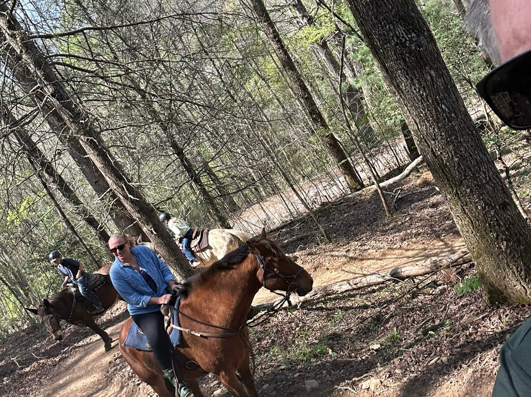 Appalachian Trail Rides-Mineral Bluff必去景点