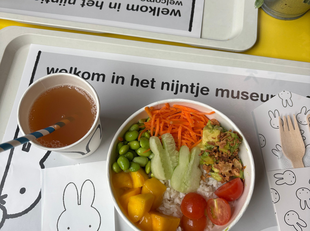 Nijntje Museum-乌特勒支必去景点