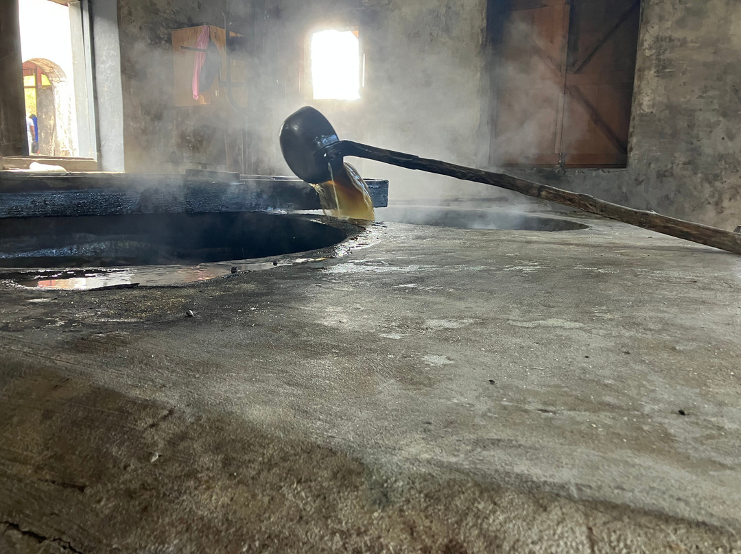 River Antoine Estate Rum Distillery-格林纳达必去景点