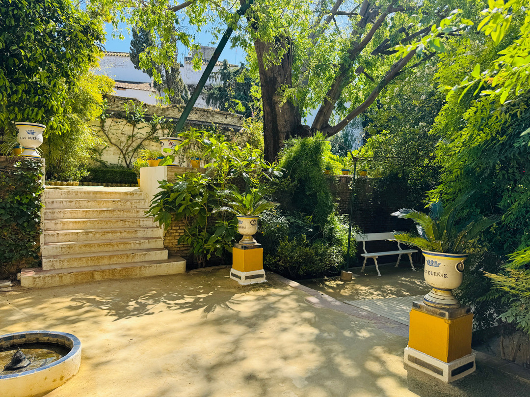 Palacio De Las Duenas-塞维利亚必去景点