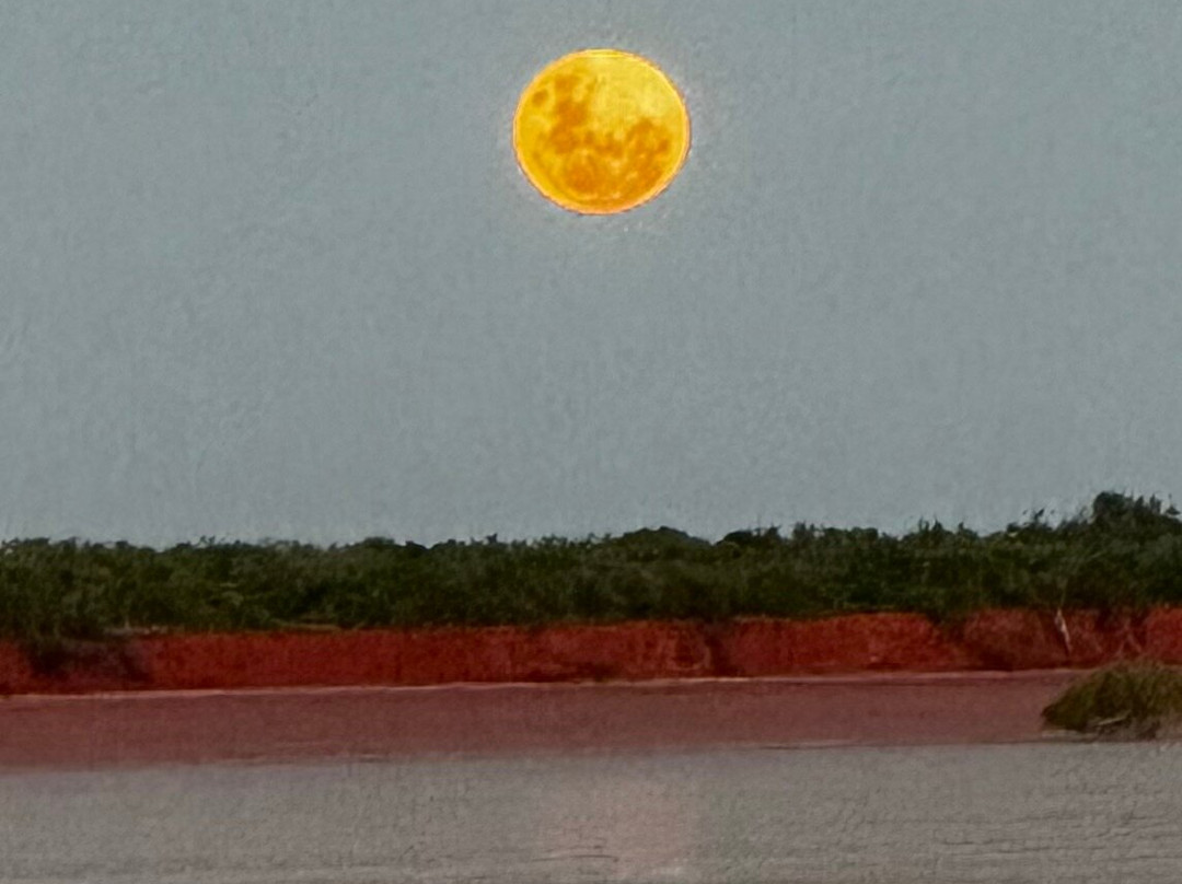 Broome Bird Observatory-布鲁姆必去景点