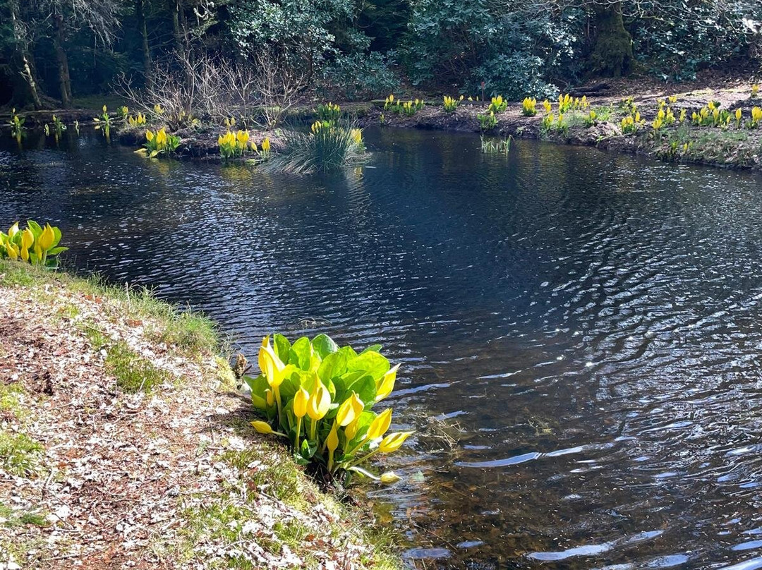Angus's Garden, Barguillean-Taynuilt必去景点
