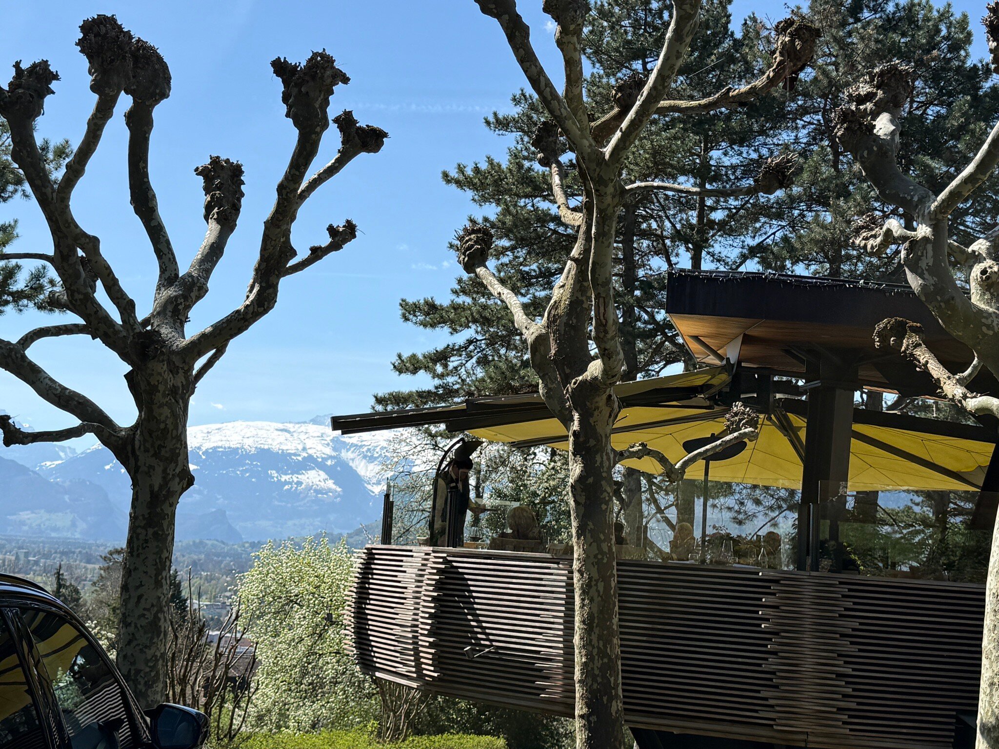 松嫩霍夫公园酒店-旅行者