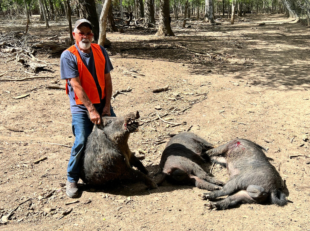 Independence Ranch Hog Hunting-Waelder必去景点