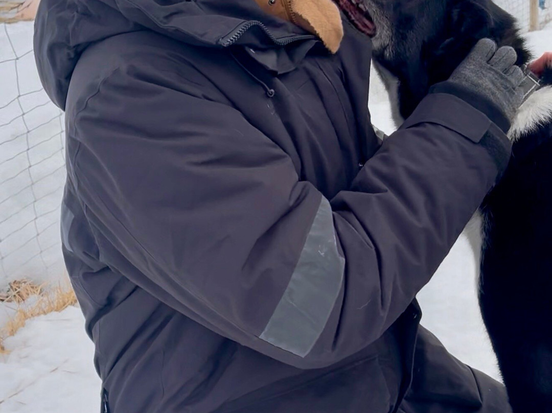 The Howling Dog Farm-Vemdalen必去景点