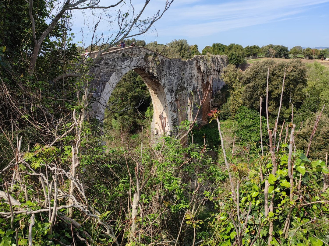 Vulci-Montalto di Castro必去景点