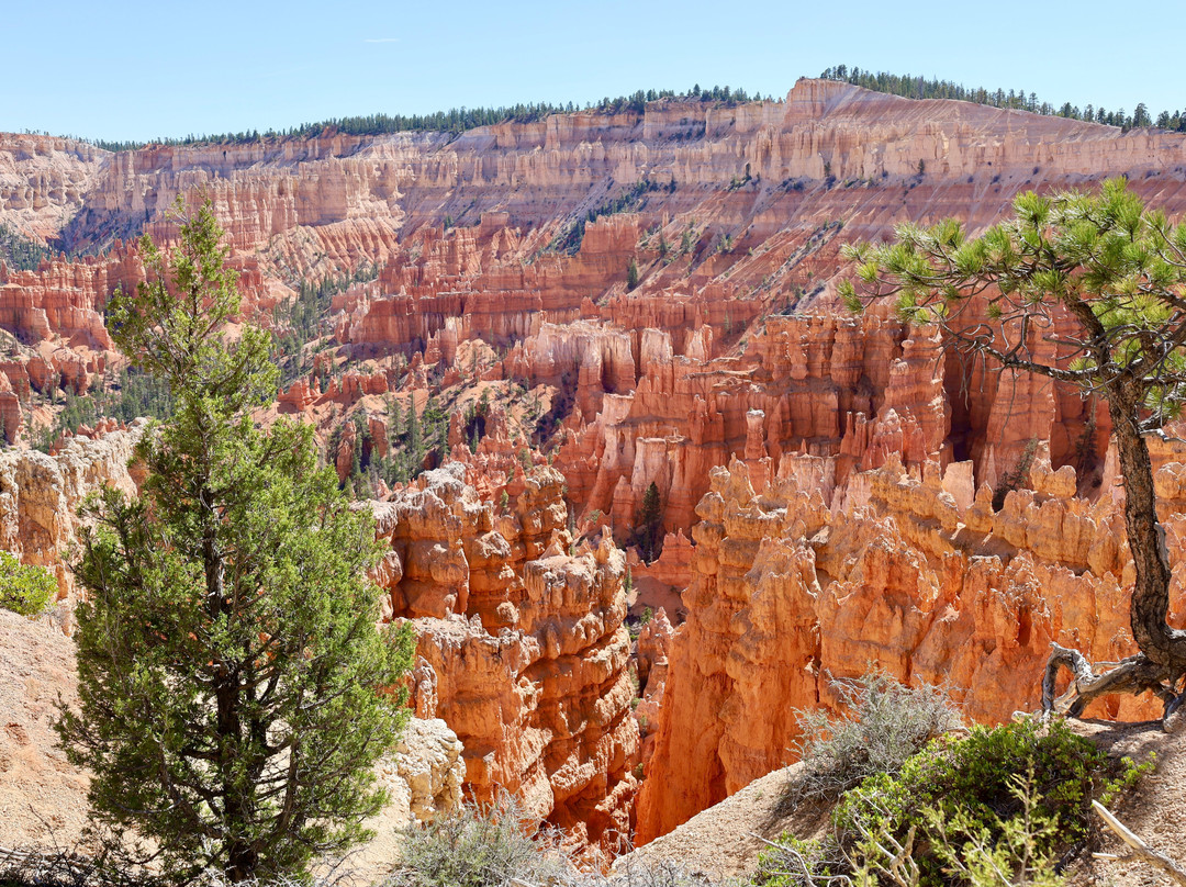 布赖斯峡谷-布莱斯峡谷国家公园必去景点