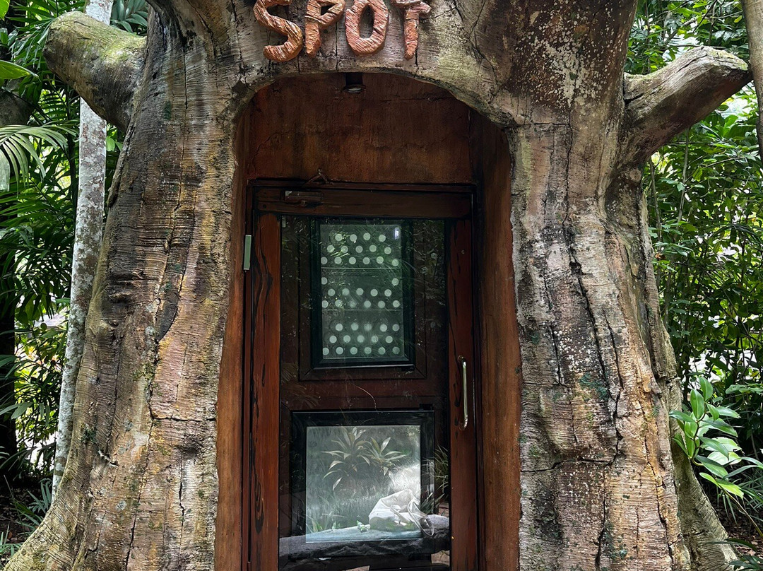 万雅岚温泉度假村主图