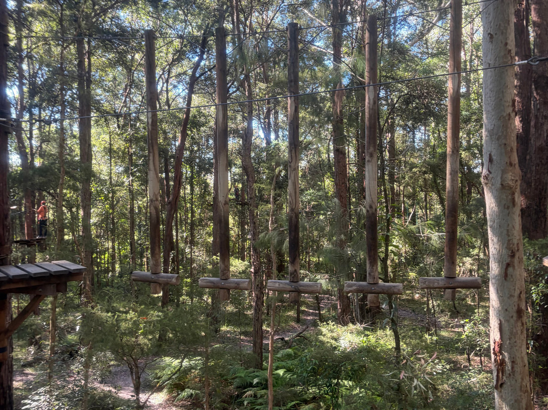 TreeTops Central Coast-怀昂溪必去景点