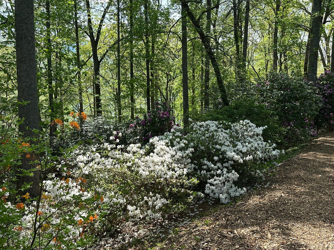 Hamilton Rhododendron Gardens-Hiawassee必去景点