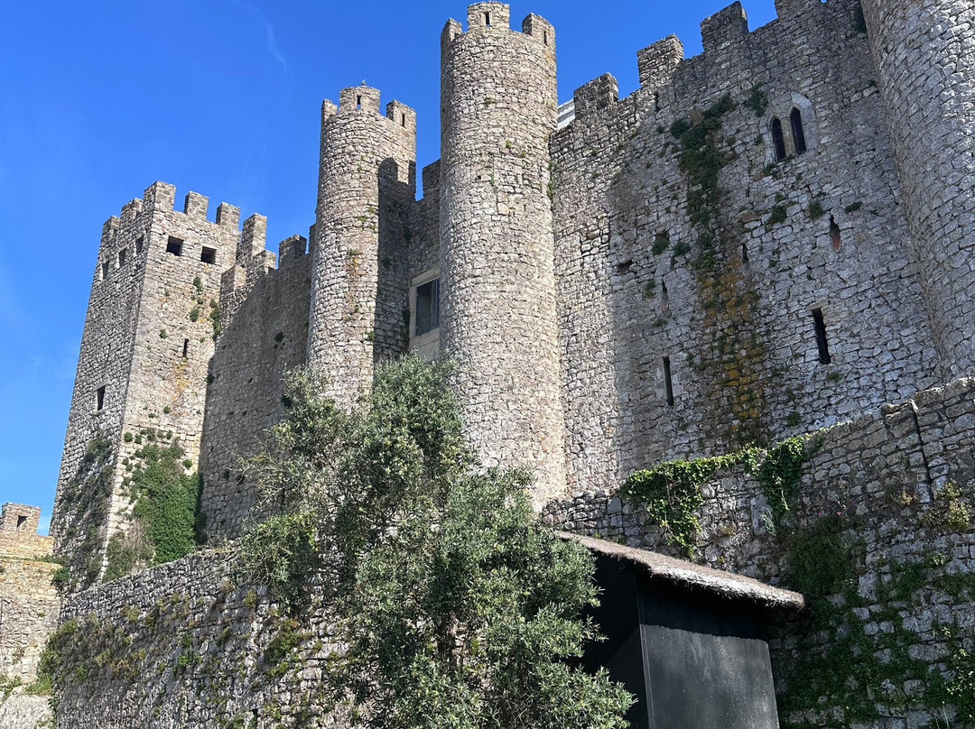 OLIVE PREMIUM TOURS-里斯本必去景点