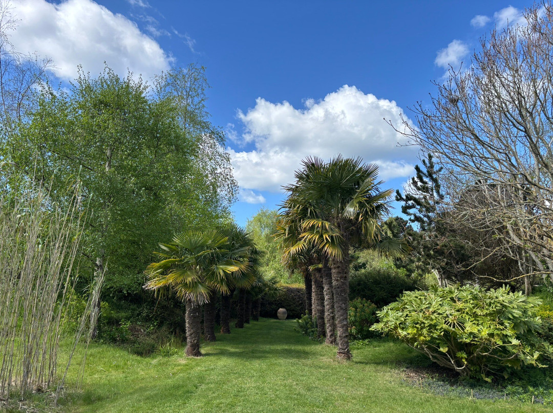 Bennetts Water Gardens-Chickerell必去景点