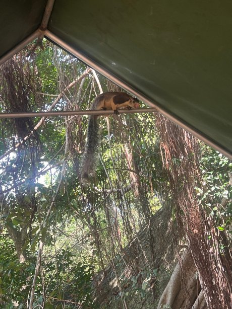 达瓦拉维玛霍拉营地酒店-旅行者