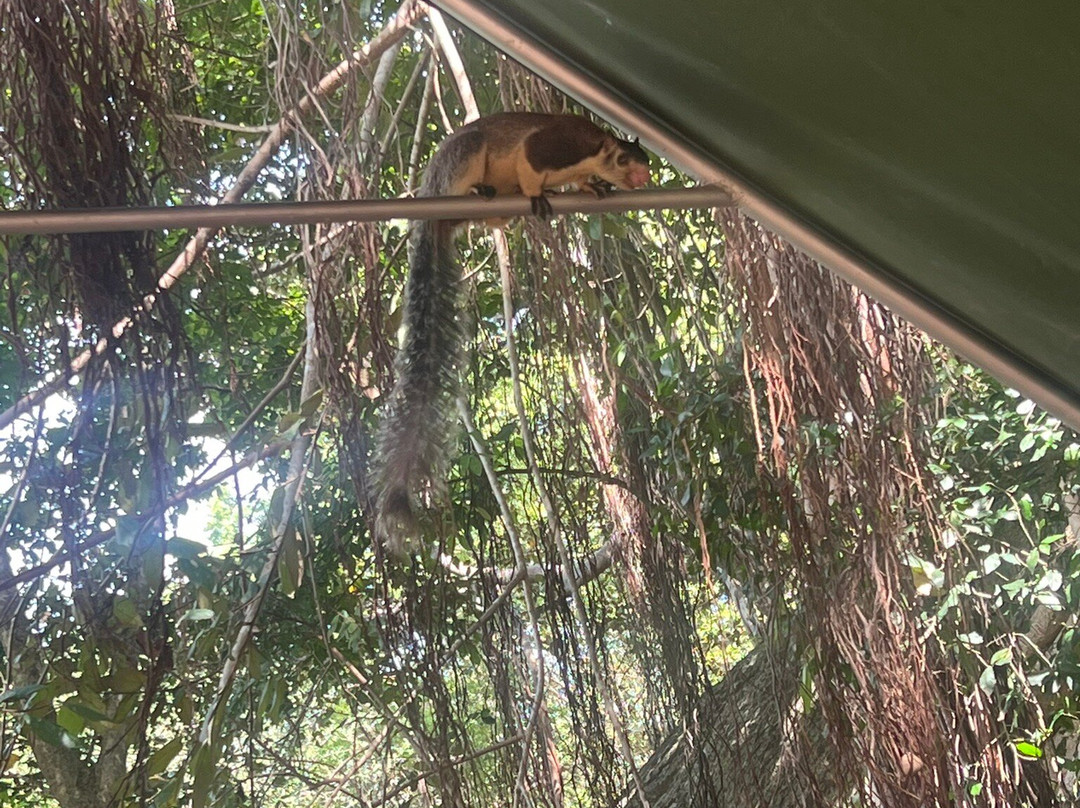 达瓦拉维玛霍拉营地酒店主图