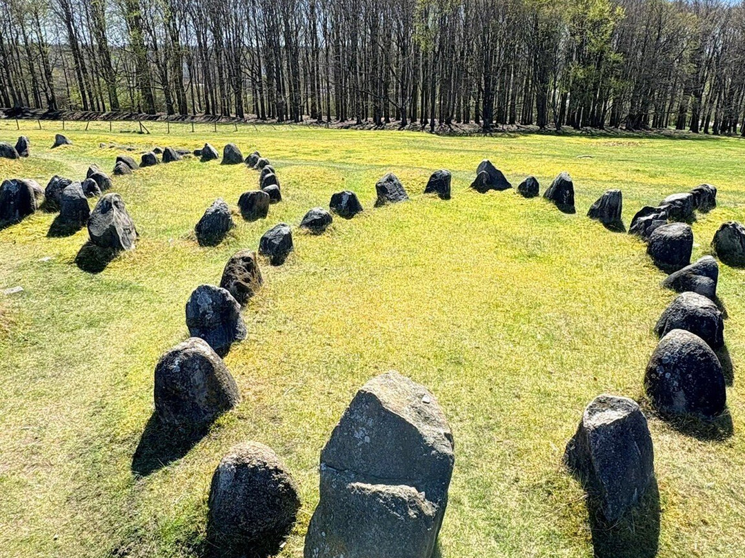 Vikingemuseet Lindholm Høje-Noerresundby必去景点