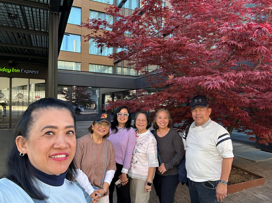 Swiss Private Tour-苏黎世必去景点