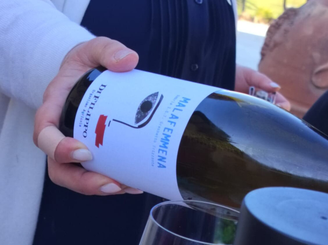 Di Filippo Winery-Cannara必去景点