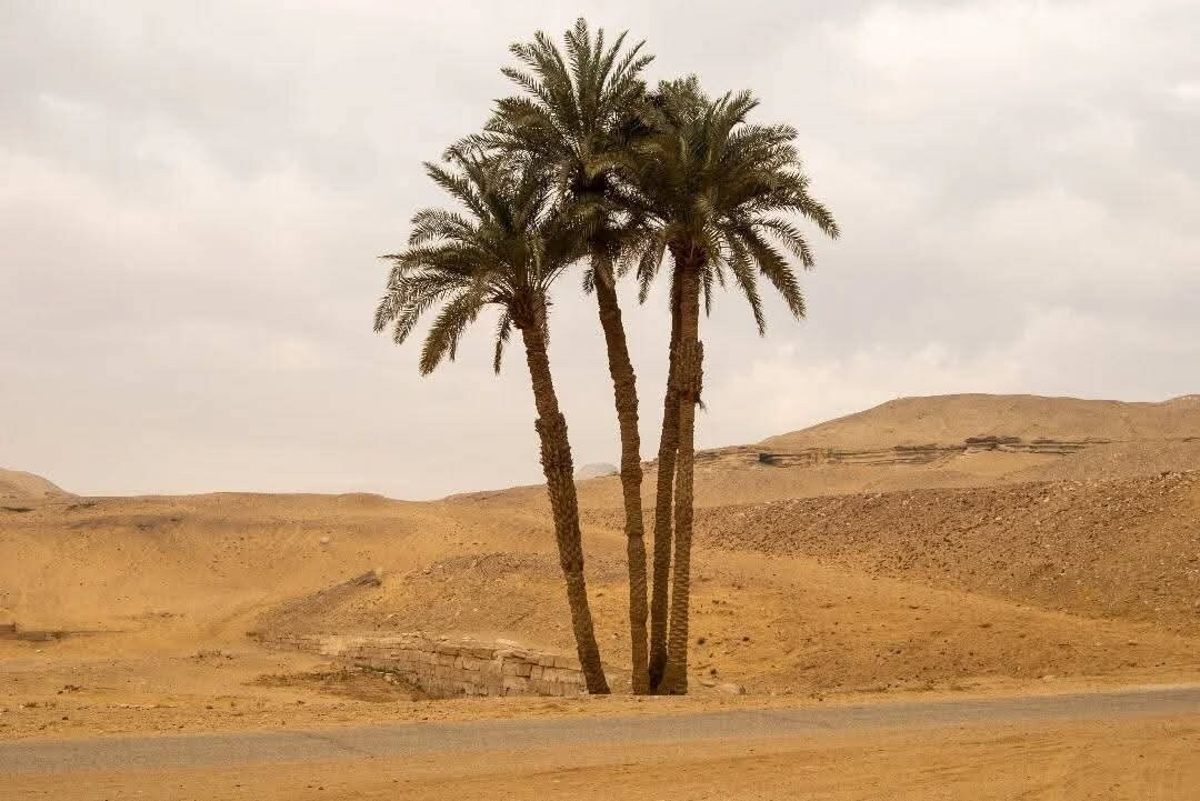 Step Pyramid of Djoser-Saqqara必去景点
