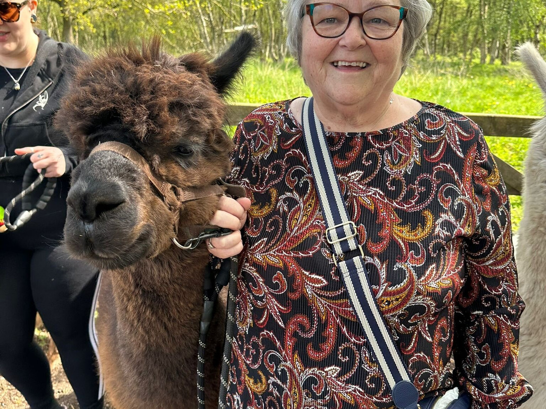 White Peak Alpaca Farm-Mobberley必去景点