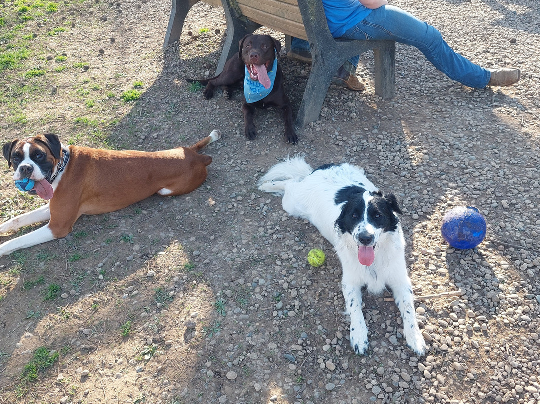 Patrick Brannon Memorial Dog Park-Paris必去景点