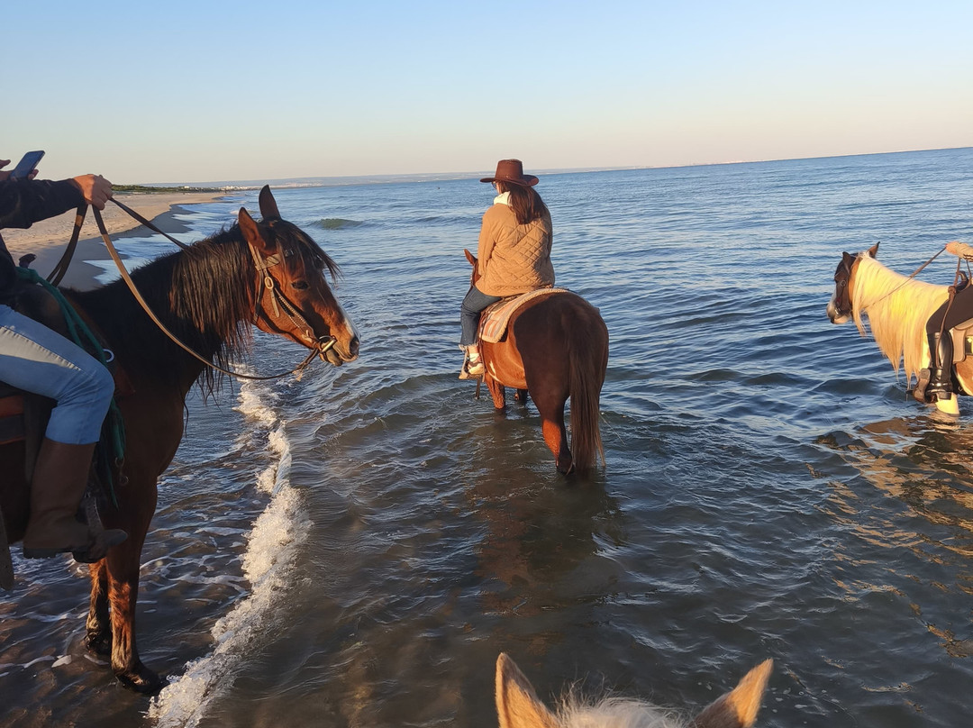 Family Horses 373-5361953-Marina di Ginosa必去景点