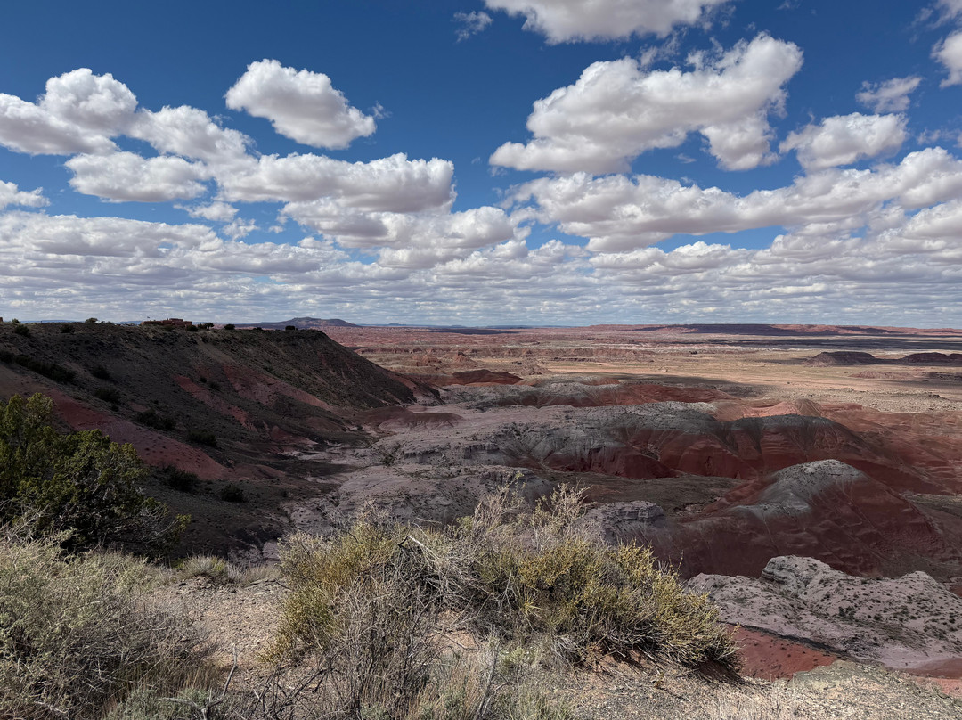 Painted Desert-石化林国家公园必去景点