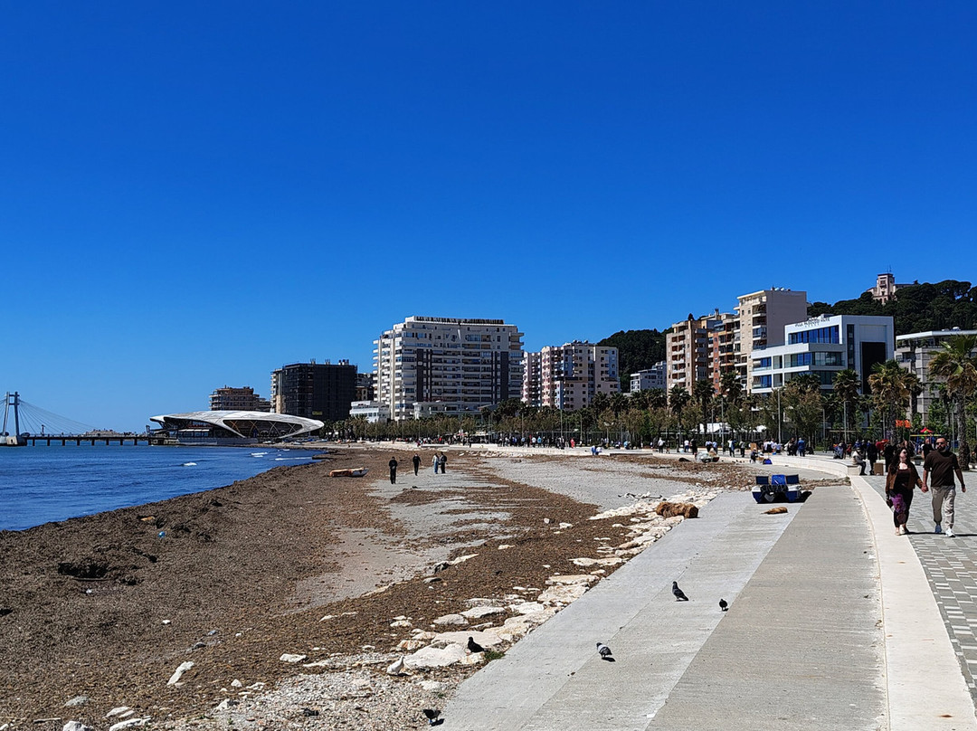 Promenade Park (Shëtitorja "Vollga")-杜勒斯必去景点