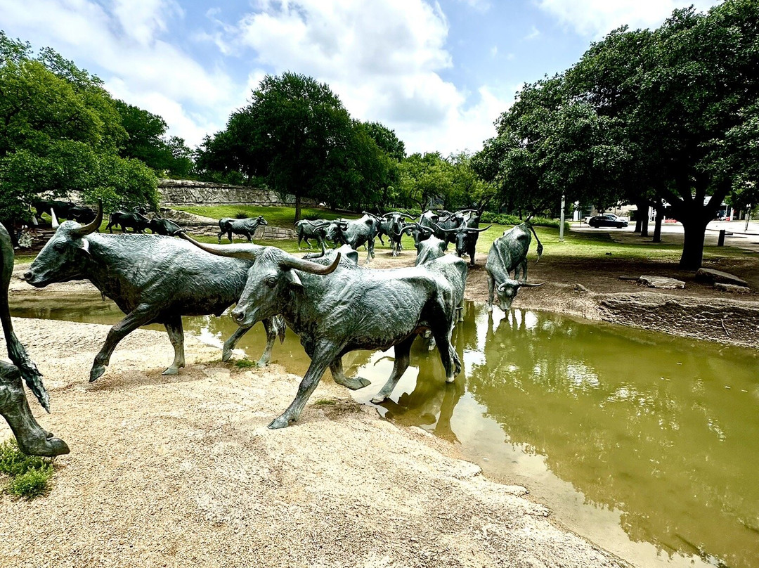 Dallas Cattle Drive Sculptures-达拉斯必去景点
