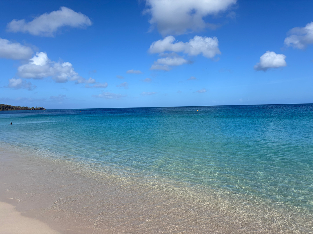 Grand Anse Beach-South Coast必去景点
