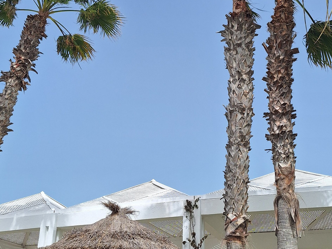 Djerba Golf Resort & Spa主图