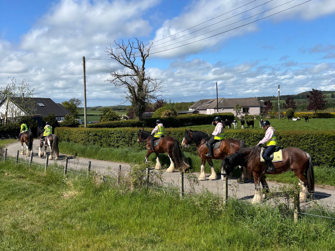 Blackstone Clydesdales Experience-Cumnock必去景点