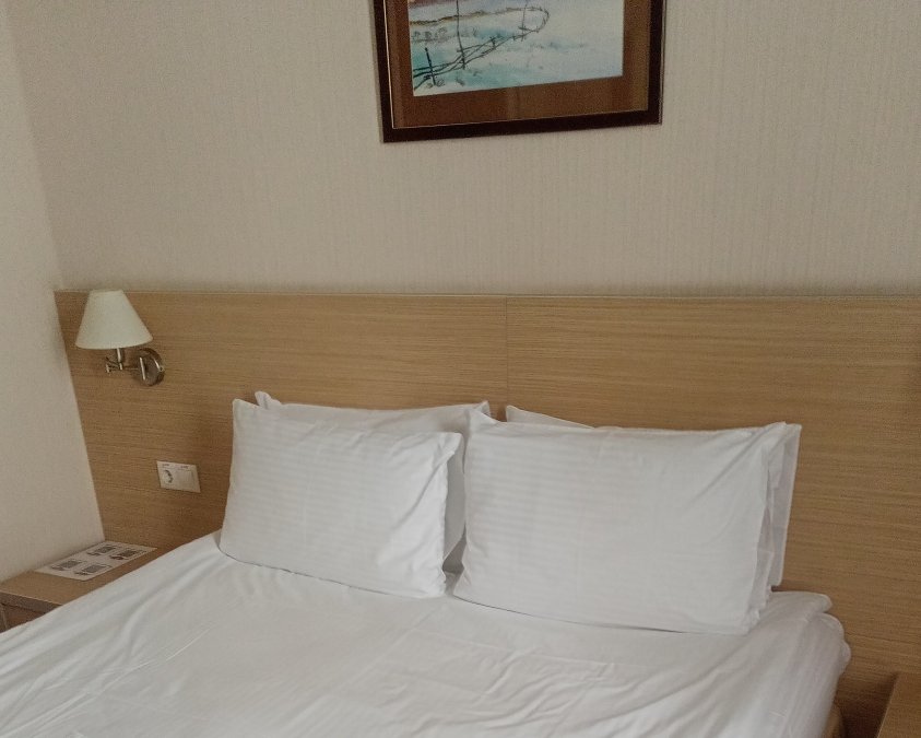 BISHOTEL-客卧