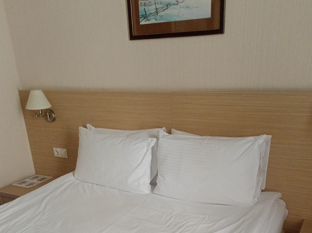 BISHOTEL主图