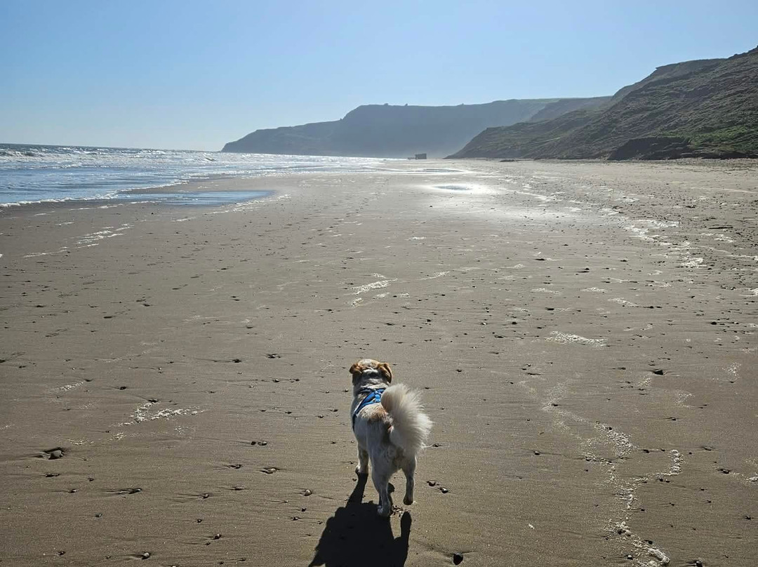 Cayton Bay Beach-Cayton必去景点