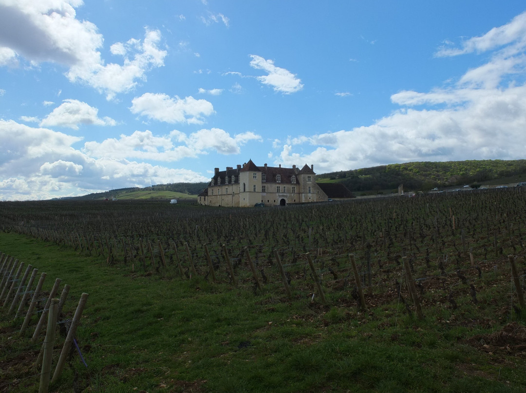 Château du Clos de Vougeot-武若必去景点