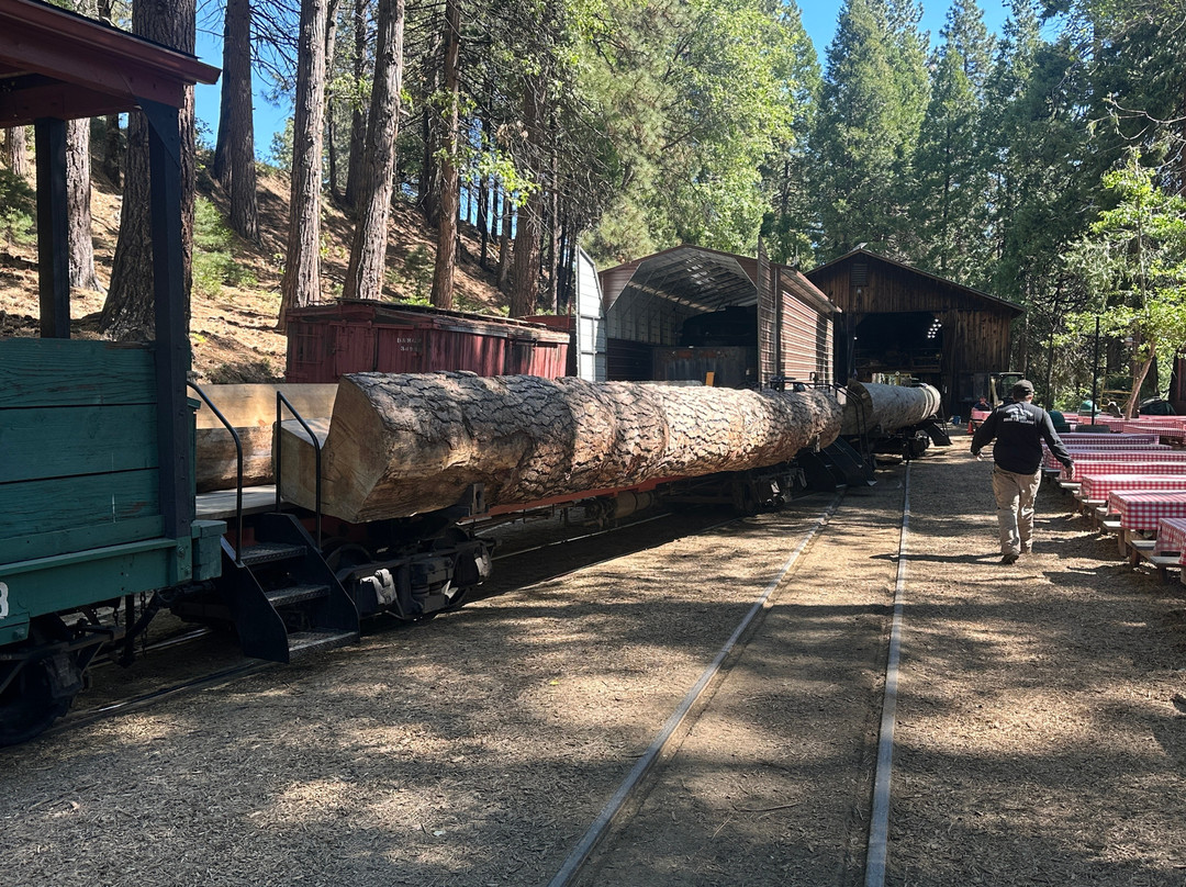 Yosemite Mountain Sugar Pine Railroad-菲什营必去景点