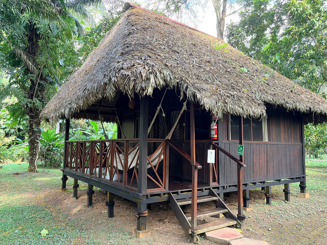 Corto Maltes Amazonia Lodge主图