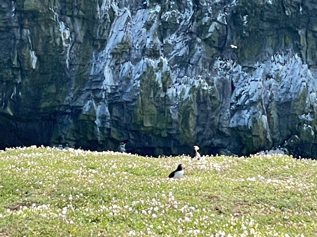 Pembrokeshire Islands Boat Trips-Marloes必去景点