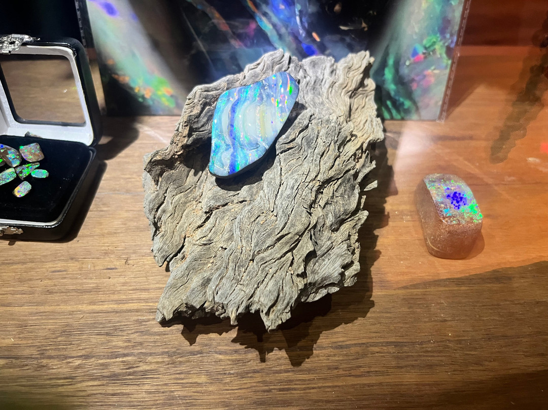 Opal Museum-布里斯班必去景点