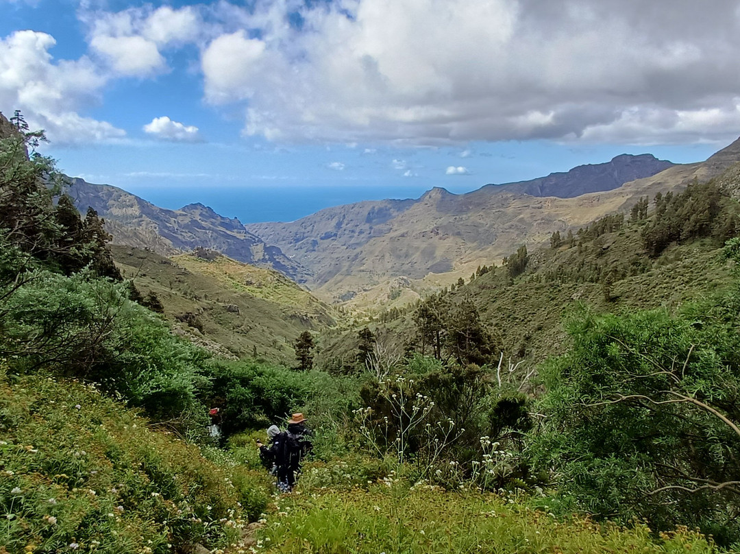 Ipalan Hiking Guided Tour-阿拉赫罗必去景点