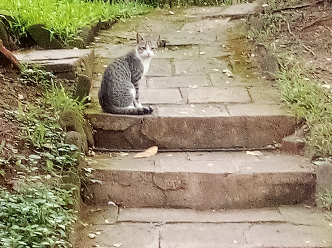 雨滴度假村主图
