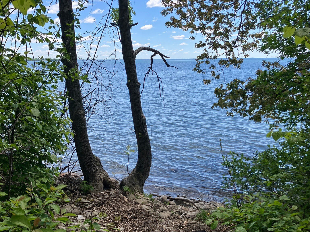 McRae Point Provincial Park-Ramara必去景点