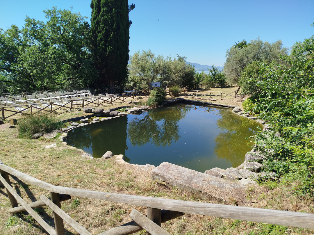 Isola Polvese-Castiglione del Lago必去景点