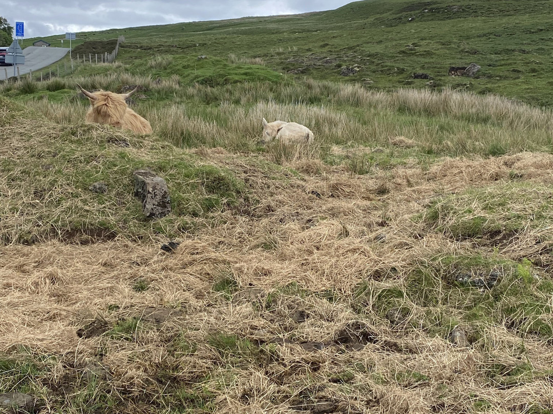 Skye Local Tours-Broadford必去景点