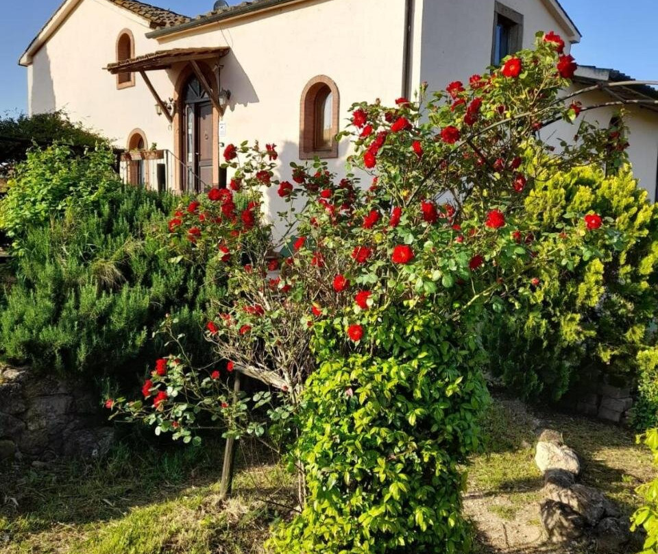 Borgo de Muracci