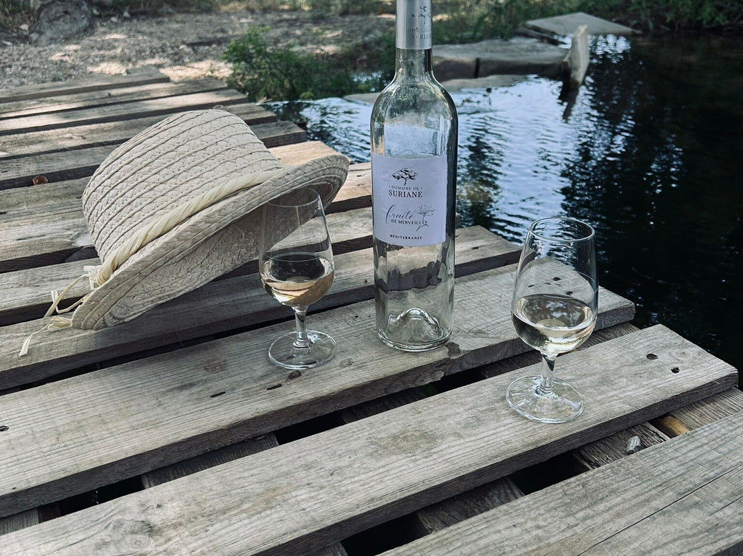 Domaine De Suriane-St Chamas必去景点