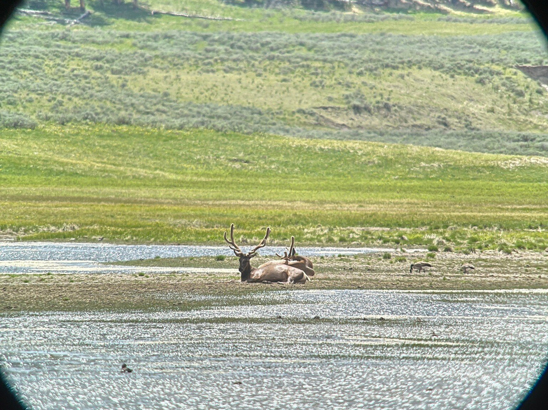 Jackson Hole Eco Tour Adventures-杰克逊必去景点