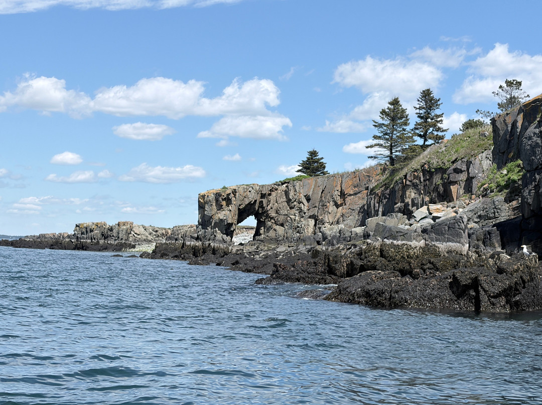 Robertson Sea Tours & Adventures-Milbridge必去景点
