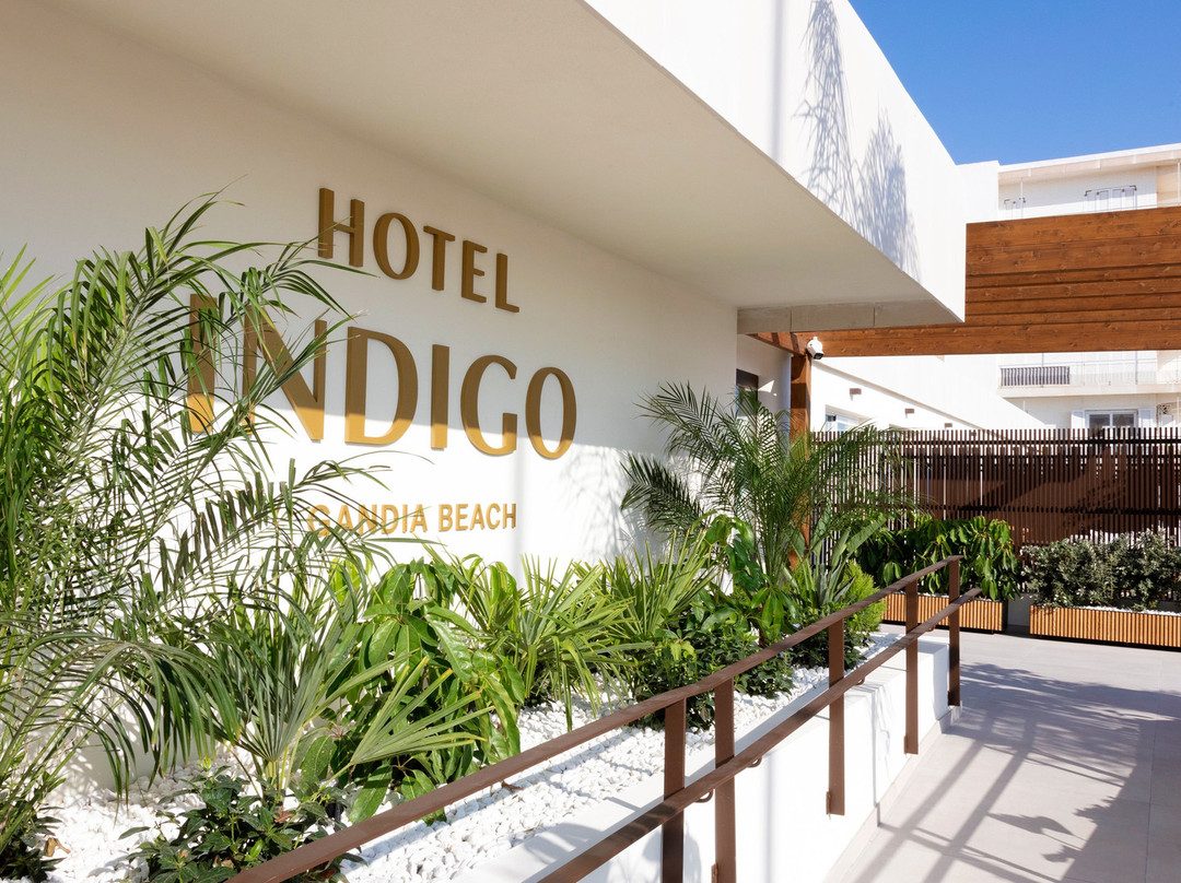 Hotel Indigo Gandía Beach