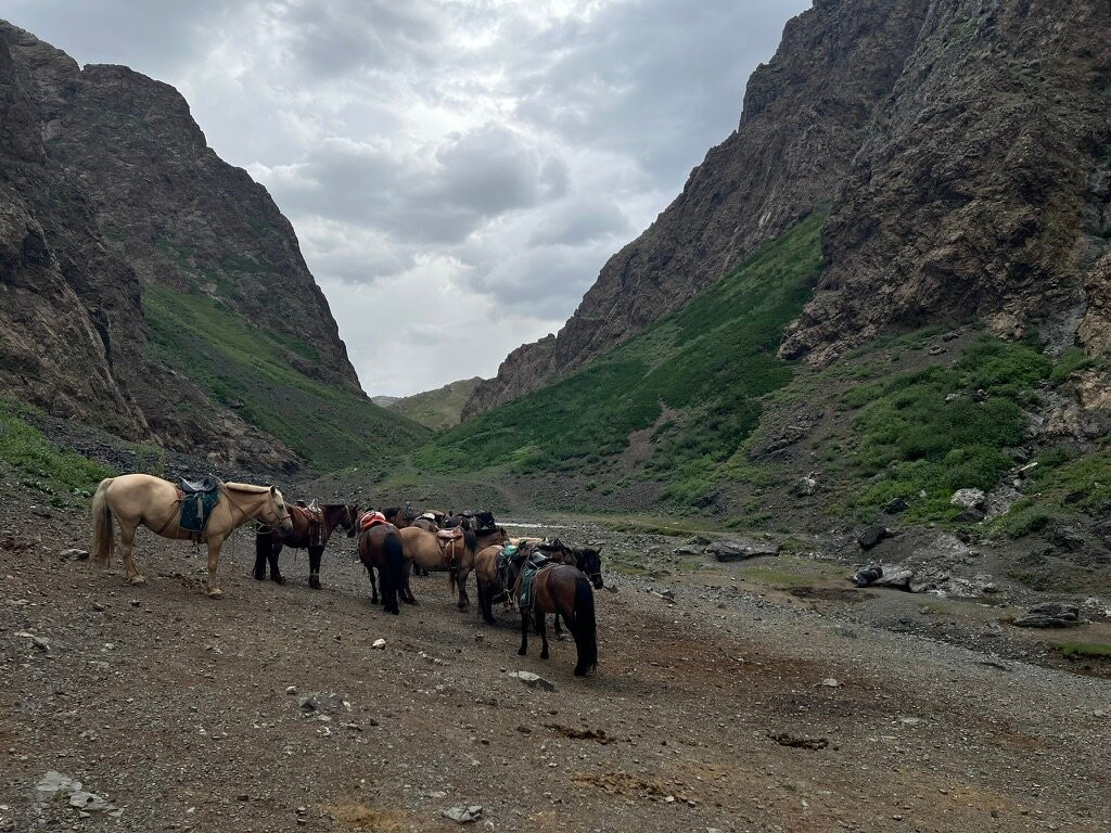 Yolyn Am-Dalanzadgad必去景点